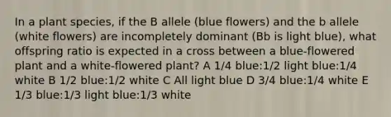 In a plant species, if the B allele (blue flowers) and the b allele (white flowers) are incompletely dominant (Bb is light blue), what offspring ratio is expected in a cross between a blue-flowered plant and a white-flowered plant? A 1/4 blue:1/2 light blue:1/4 white B 1/2 blue:1/2 white C All light blue D 3/4 blue:1/4 white E 1/3 blue:1/3 light blue:1/3 white