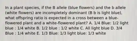 In a plant species, if the B allele (blue flowers) and the b allele (white flowers) are incompletely dominant (B b is light blue), what offspring ratio is expected in a cross between a blue-flowered plant and a white-flowered plant? A. 1/4 Blue: 1/2 light blue : 1/4 white B. 1/2 blue : 1/2 white C. All light blue D. 3/4 Blue : 1/4 white E. 1/3 Blue: 1/3 light blue: 1/3 white