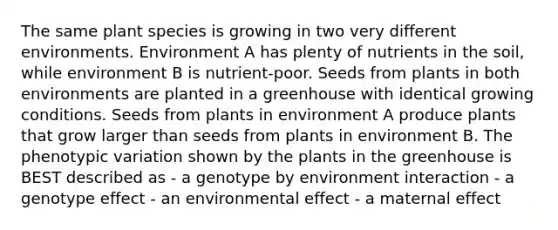 The same plant species is growing in two very different environments. Environment A has plenty of nutrients in the soil, while environment B is nutrient-poor. Seeds from plants in both environments are planted in a greenhouse with identical growing conditions. Seeds from plants in environment A produce plants that grow larger than seeds from plants in environment B. The phenotypic variation shown by the plants in the greenhouse is BEST described as - a genotype by environment interaction - a genotype effect - an environmental effect - a maternal effect