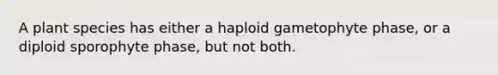 A plant species has either a haploid gametophyte phase, or a diploid sporophyte phase, but not both.