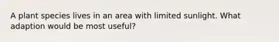 A plant species lives in an area with limited sunlight. What adaption would be most useful?