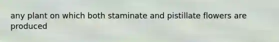 any plant on which both staminate and pistillate flowers are produced