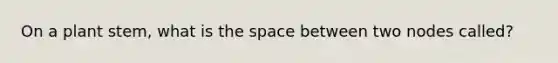 On a plant stem, what is <a href='https://www.questionai.com/knowledge/k0Lyloclid-the-space' class='anchor-knowledge'>the space</a> between two nodes called?