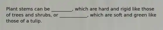 Plant stems can be _________, which are hard and rigid like those of trees and shrubs, or ____________, which are soft and green like those of a tulip.
