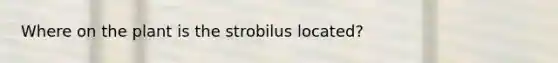 Where on the plant is the strobilus located?