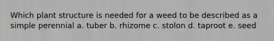 Which plant structure is needed for a weed to be described as a simple perennial a. tuber b. rhizome c. stolon d. taproot e. seed