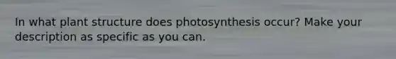 In what plant structure does photosynthesis occur? Make your description as specific as you can.