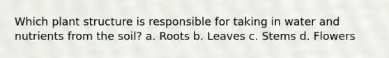 Which plant structure is responsible for taking in water and nutrients from the soil? a. Roots b. Leaves c. Stems d. Flowers