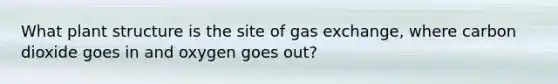 What plant structure is the site of <a href='https://www.questionai.com/knowledge/kU8LNOksTA-gas-exchange' class='anchor-knowledge'>gas exchange</a>, where carbon dioxide goes in and oxygen goes out?