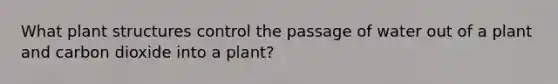 What plant structures control the passage of water out of a plant and carbon dioxide into a plant?