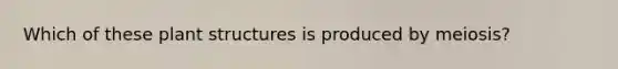 Which of these plant structures is produced by meiosis?