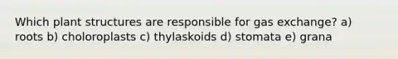 Which plant structures are responsible for gas exchange? a) roots b) choloroplasts c) thylaskoids d) stomata e) grana
