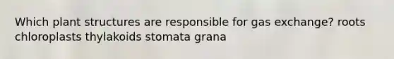 Which plant structures are responsible for gas exchange? roots chloroplasts thylakoids stomata grana