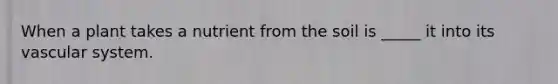 When a plant takes a nutrient from the soil is _____ it into its vascular system.