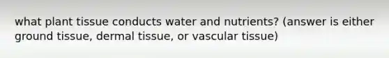 what plant tissue conducts water and nutrients? (answer is either ground tissue, dermal tissue, or vascular tissue)