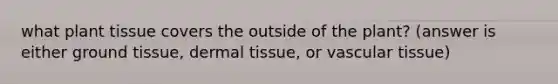 what plant tissue covers the outside of the plant? (answer is either ground tissue, dermal tissue, or vascular tissue)