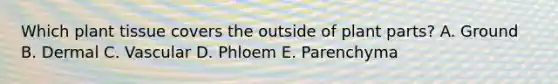 Which plant tissue covers the outside of plant parts? A. Ground B. Dermal C. Vascular D. Phloem E. Parenchyma