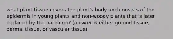 what plant tissue covers the plant's body and consists of the epidermis in young plants and non-woody plants that is later replaced by the pariderm? (answer is either ground tissue, dermal tissue, or vascular tissue)