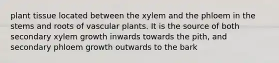 plant tissue located between the xylem and the phloem in the stems and roots of vascular plants. It is the source of both secondary xylem growth inwards towards the pith, and secondary phloem growth outwards to the bark