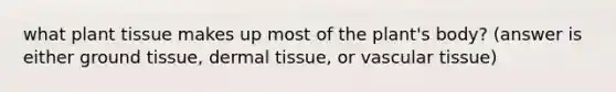 what plant tissue makes up most of the plant's body? (answer is either ground tissue, dermal tissue, or vascular tissue)