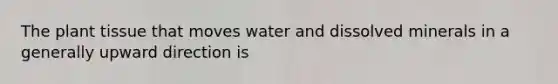 The plant tissue that moves water and dissolved minerals in a generally upward direction is