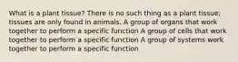 What is a plant tissue? There is no such thing as a plant tissue; tissues are only found in animals. A group of organs that work together to perform a specific function A group of cells that work together to perform a specific function A group of systems work together to perform a specific function