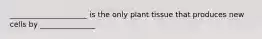 _____________________ is the only plant tissue that produces new cells by _______________