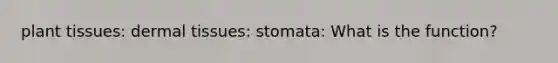 plant tissues: <a href='https://www.questionai.com/knowledge/kRKdINDJId-dermal-tissue' class='anchor-knowledge'>dermal tissue</a>s: stomata: What is the function?