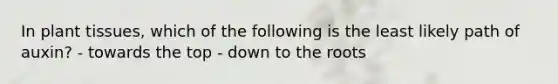 In plant tissues, which of the following is the least likely path of auxin? - towards the top - down to the roots