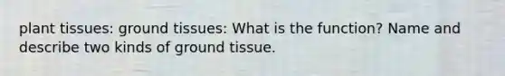 plant tissues: ground tissues: What is the function? Name and describe two kinds of ground tissue.