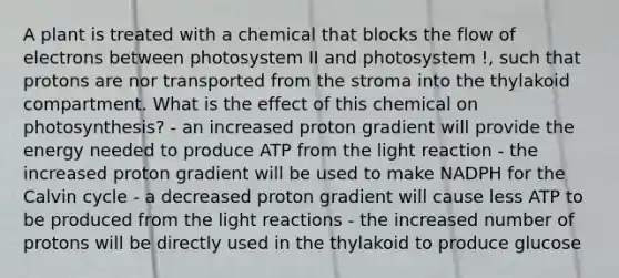 A plant is treated with a chemical that blocks the flow of electrons between photosystem II and photosystem !, such that protons are nor transported from the stroma into the thylakoid compartment. What is the effect of this chemical on photosynthesis? - an increased proton gradient will provide the energy needed to produce ATP from the light reaction - the increased proton gradient will be used to make NADPH for the Calvin cycle - a decreased proton gradient will cause less ATP to be produced from the light reactions - the increased number of protons will be directly used in the thylakoid to produce glucose