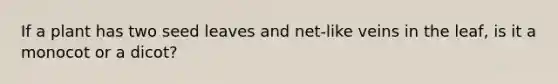 If a plant has two seed leaves and net-like veins in the leaf, is it a monocot or a dicot?