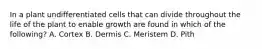 In a plant undifferentiated cells that can divide throughout the life of the plant to enable growth are found in which of the following? A. Cortex B. Dermis C. Meristem D. Pith