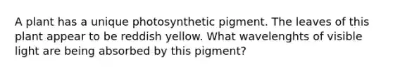 A plant has a unique photosynthetic pigment. The leaves of this plant appear to be reddish yellow. What wavelenghts of visible light are being absorbed by this pigment?