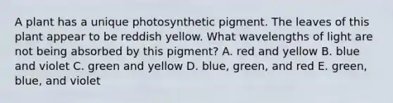 A plant has a unique photosynthetic pigment. The leaves of this plant appear to be reddish yellow. What wavelengths of light are not being absorbed by this pigment? A. red and yellow B. blue and violet C. green and yellow D. blue, green, and red E. green, blue, and violet