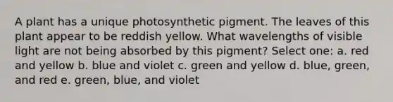 A plant has a unique photosynthetic pigment. The leaves of this plant appear to be reddish yellow. What wavelengths of visible light are not being absorbed by this pigment? Select one: a. red and yellow b. blue and violet c. green and yellow d. blue, green, and red e. green, blue, and violet