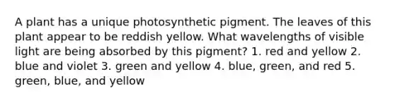 A plant has a unique photosynthetic pigment. The leaves of this plant appear to be reddish yellow. What wavelengths of visible light are being absorbed by this pigment? 1. red and yellow 2. blue and violet 3. green and yellow 4. blue, green, and red 5. green, blue, and yellow