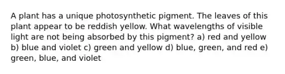 A plant has a unique photosynthetic pigment. The leaves of this plant appear to be reddish yellow. What wavelengths of visible light are not being absorbed by this pigment? a) red and yellow b) blue and violet c) green and yellow d) blue, green, and red e) green, blue, and violet