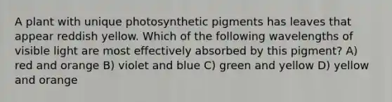 A plant with unique photosynthetic pigments has leaves that appear reddish yellow. Which of the following wavelengths of visible light are most effectively absorbed by this pigment? A) red and orange B) violet and blue C) green and yellow D) yellow and orange