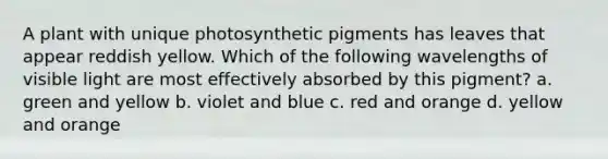 A plant with unique photosynthetic pigments has leaves that appear reddish yellow. Which of the following wavelengths of visible light are most effectively absorbed by this pigment? a. green and yellow b. violet and blue c. red and orange d. yellow and orange