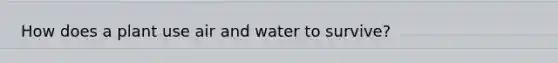 How does a plant use air and water to survive?