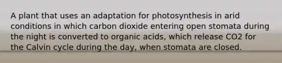 A plant that uses an adaptation for photosynthesis in arid conditions in which carbon dioxide entering open stomata during the night is converted to organic acids, which release CO2 for the Calvin cycle during the day, when stomata are closed.