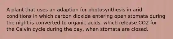 A plant that uses an adaption for photosynthesis in arid conditions in which carbon dioxide entering open stomata during the night is converted to organic acids, which release CO2 for the Calvin cycle during the day, when stomata are closed.