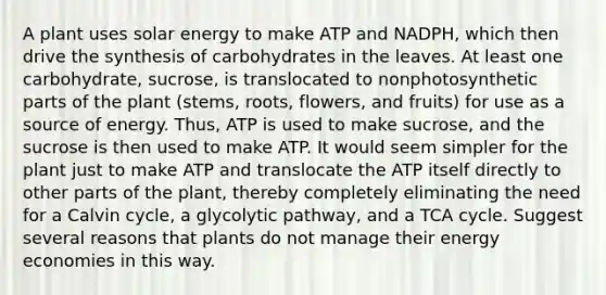 A plant uses solar energy to make ATP and NADPH, which then drive the synthesis of carbohydrates in the leaves. At least one carbohydrate, sucrose, is translocated to nonphotosynthetic parts of the plant (stems, roots, flowers, and fruits) for use as a source of energy. Thus, ATP is used to make sucrose, and the sucrose is then used to make ATP. It would seem simpler for the plant just to make ATP and translocate the ATP itself directly to other parts of the plant, thereby completely eliminating the need for a Calvin cycle, a glycolytic pathway, and a TCA cycle. Suggest several reasons that plants do not manage their energy economies in this way.