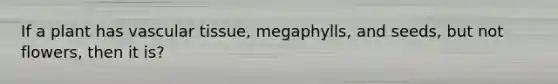 If a plant has vascular tissue, megaphylls, and seeds, but not flowers, then it is?