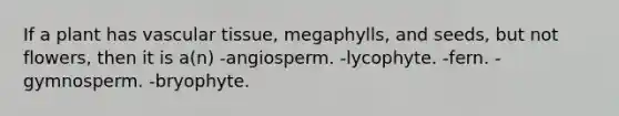 If a plant has vascular tissue, megaphylls, and seeds, but not flowers, then it is a(n) -angiosperm. -lycophyte. -fern. -gymnosperm. -bryophyte.