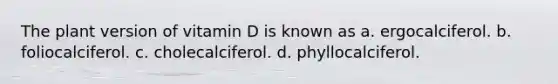 The plant version of vitamin D is known as a. ergocalciferol. b. foliocalciferol. c. cholecalciferol. d. phyllocalciferol.