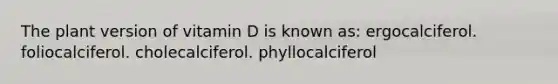 The plant version of vitamin D is known as: ergocalciferol. foliocalciferol. cholecalciferol. phyllocalciferol