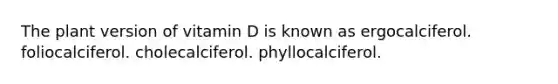 The plant version of vitamin D is known as ergocalciferol. foliocalciferol. cholecalciferol. phyllocalciferol.