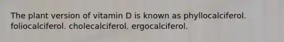 The plant version of vitamin D is known as​ ​phyllocalciferol. ​foliocalciferol. ​cholecalciferol. ​ergocalciferol.